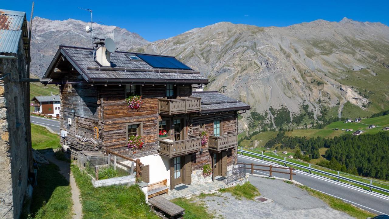 Elysium -trepalle * Livigno