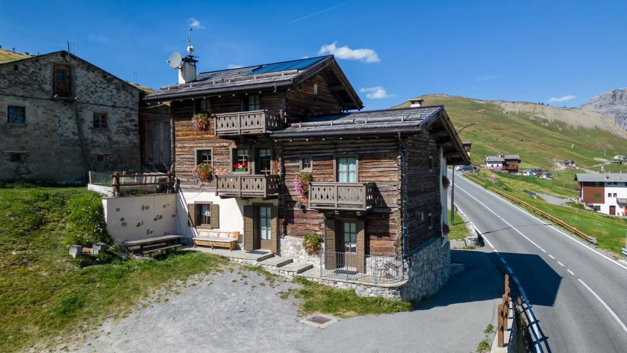 Elysium -trepalle Livigno